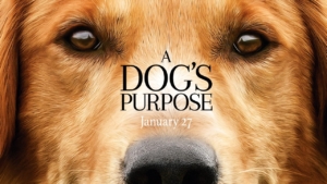 A Dogs purpose controversy