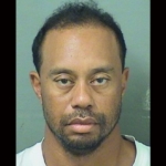 tiger woods arrested for suspicion of DUI