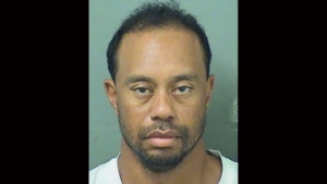 tiger woods arrested for suspicion of DUI