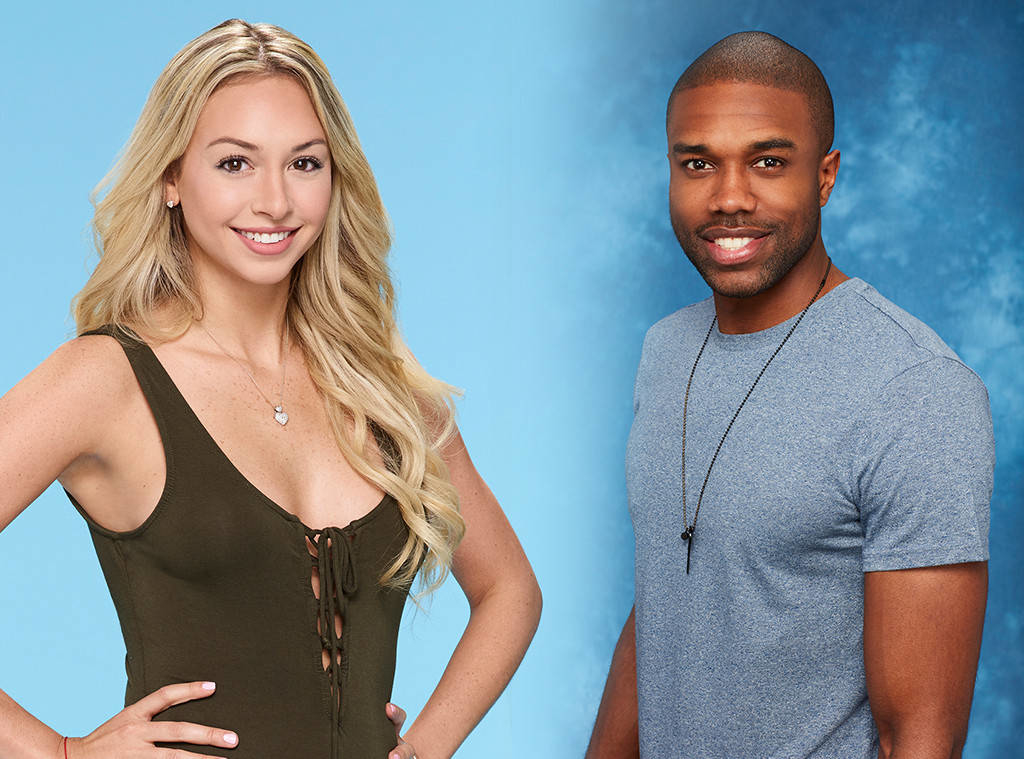 Alleged Sexual misconduct shuts down season four of Bachelor in Paradise 